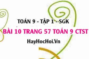 Bài 10 trang 57 Toán 9 tập 1 Chân trời sáng tạo